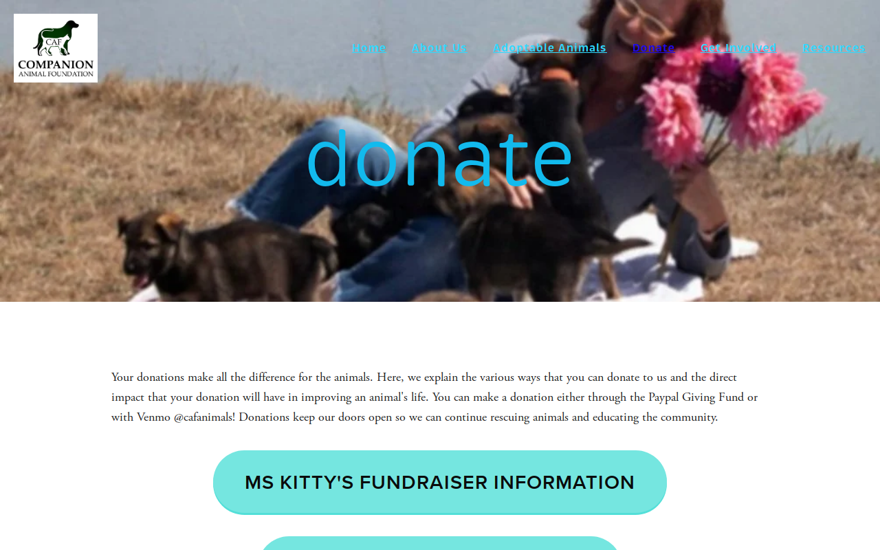 CAF Blue Lake Thrift Store website preview