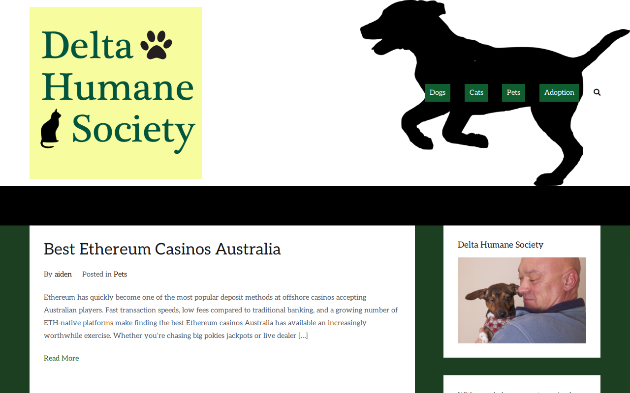 Delta Humane Society's Thrift & Gift Boutique website preview