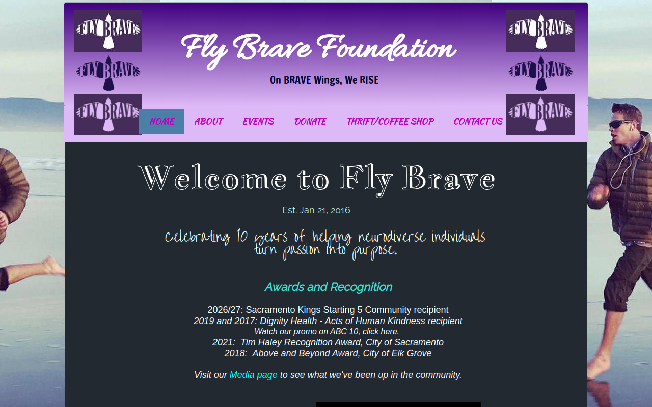 Fly Brave website preview