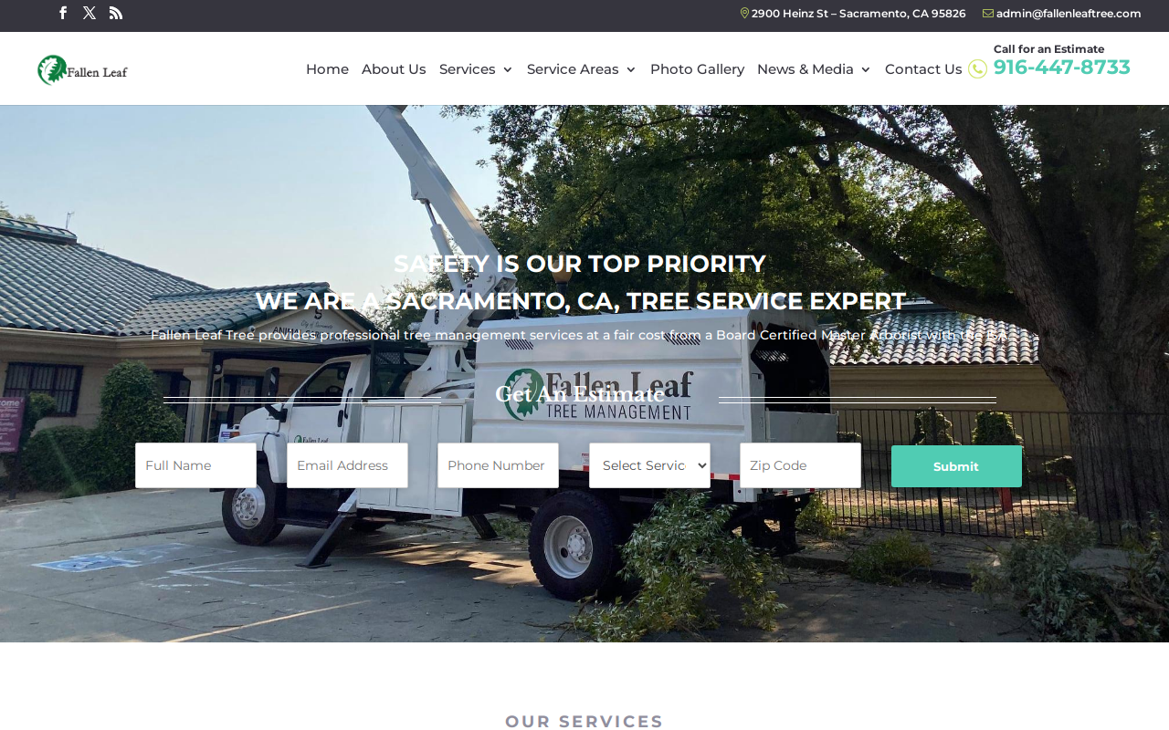 Family Tree Thrift Shoppe website preview