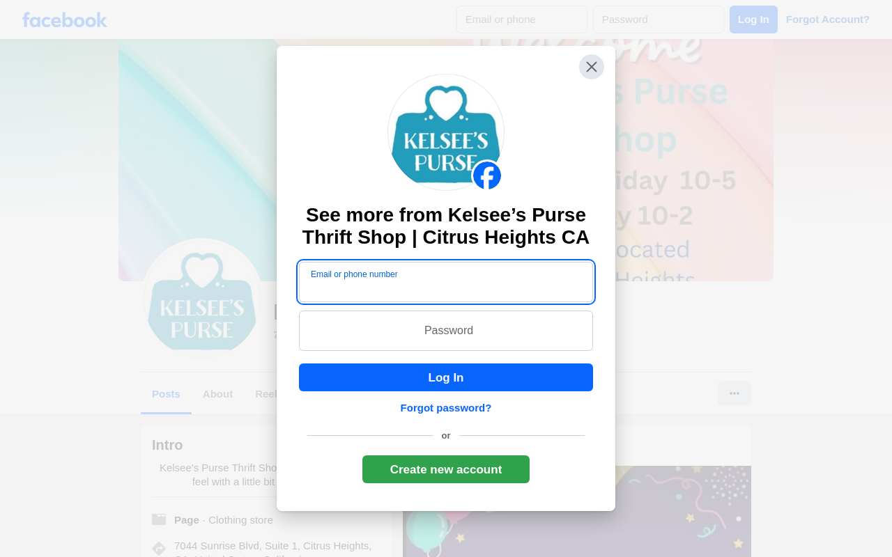 Kelsee's Purse Thrift Shop website preview