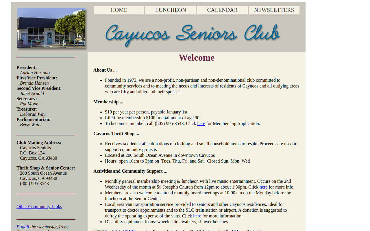 Senior Citizens Center website preview