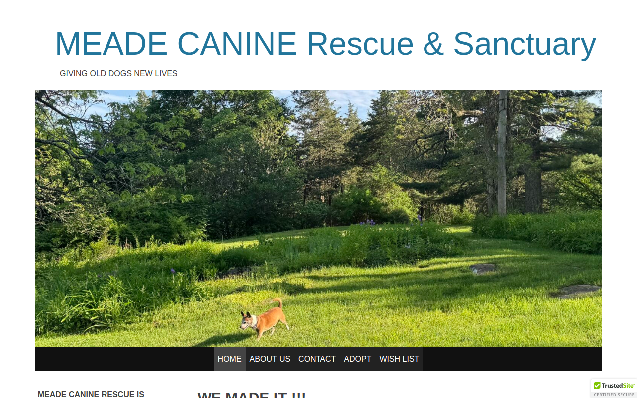 Meade Canine Resale Group website preview