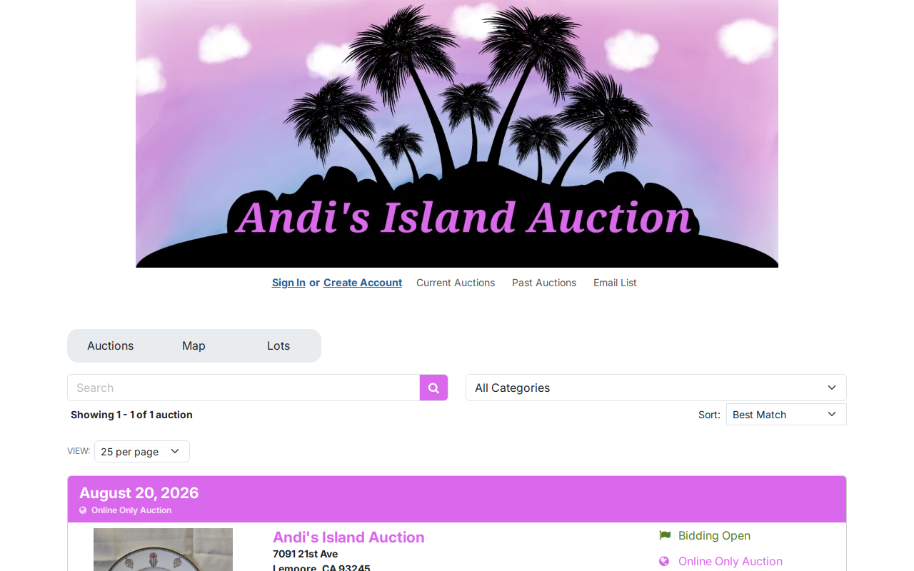 Andi's Island Auction website preview