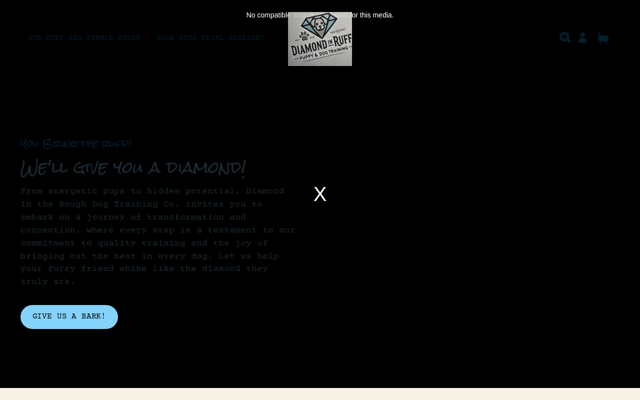 Diamond "N" The Ruff Thrift Shop website preview
