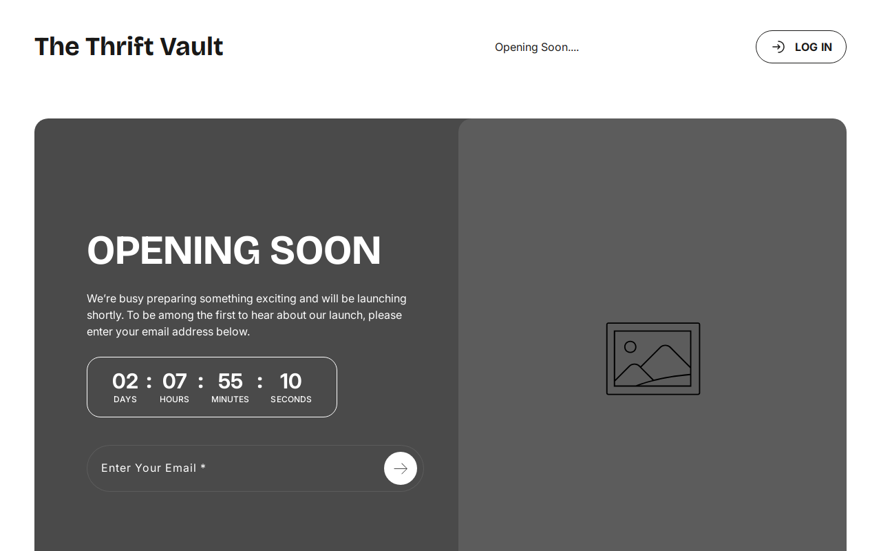 The thrift vault website preview