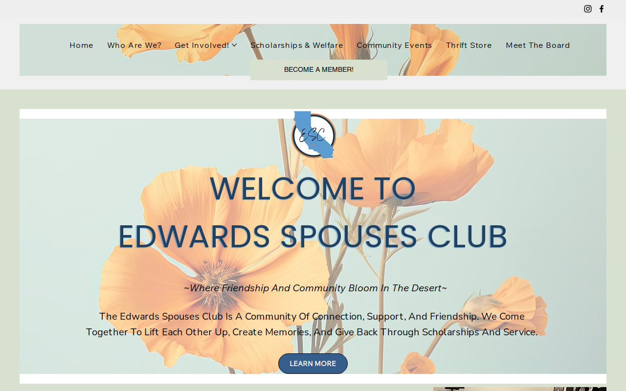 Edwards Thrift Store website preview