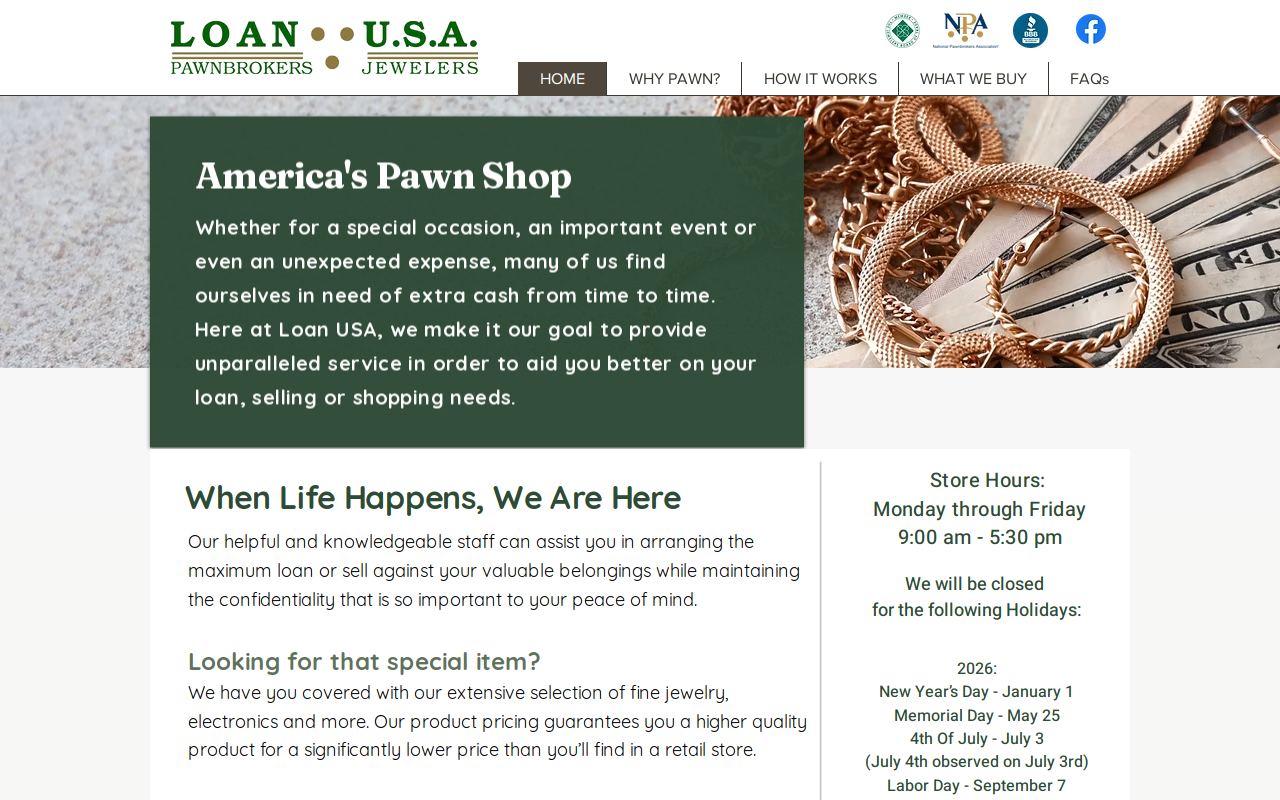Loan USA website preview
