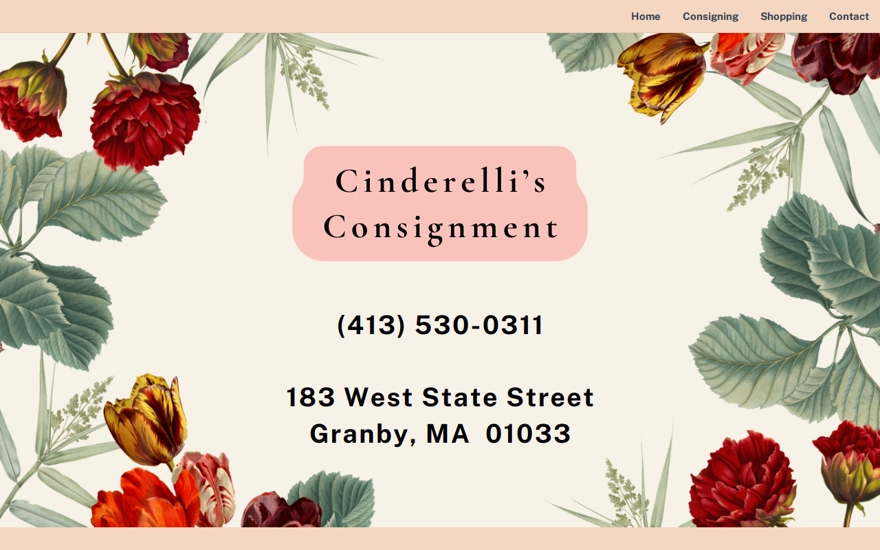 Cinderelli's Consignment Boutique website preview