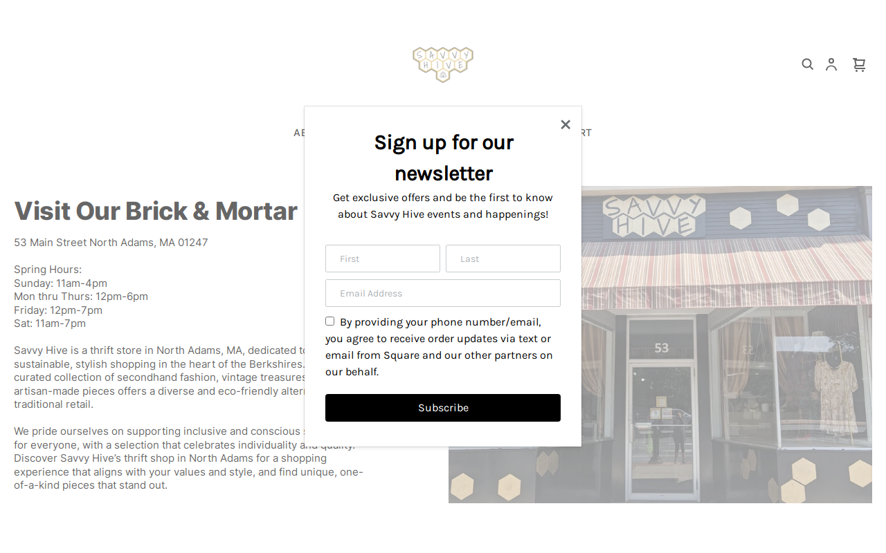 Savvy Hive website preview