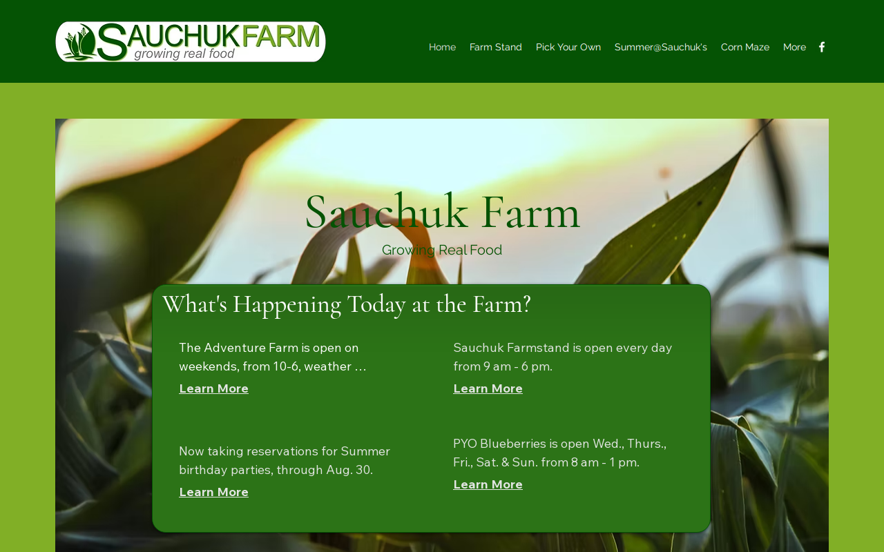 Townlinefarm Antiques website preview