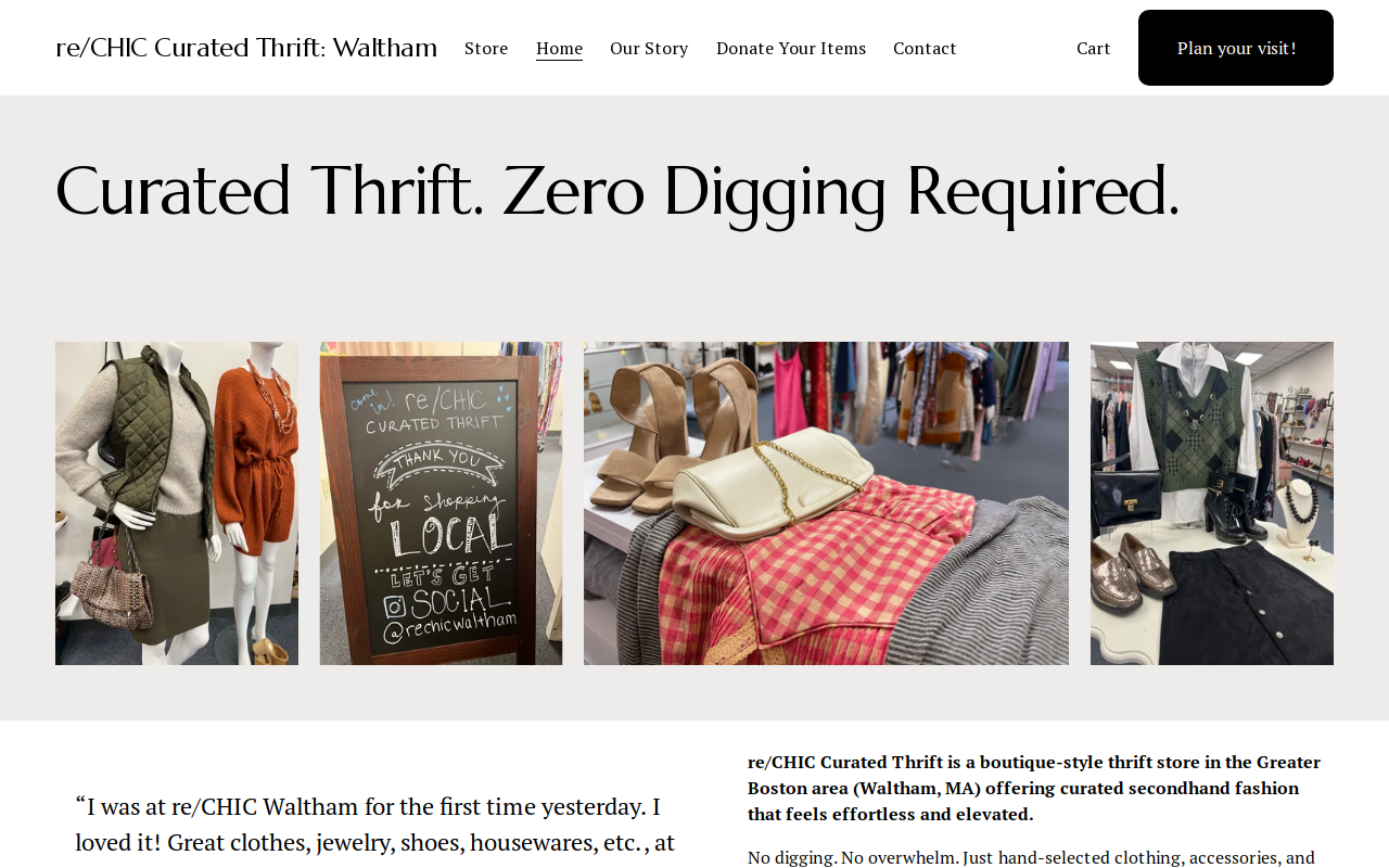 ReChic Waltham website preview