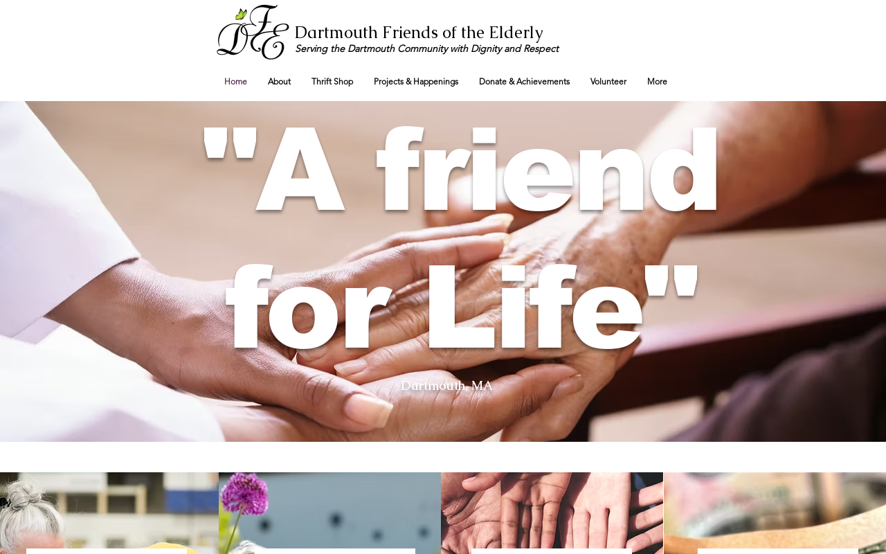 Dartmouth Friends of the Elderly website preview