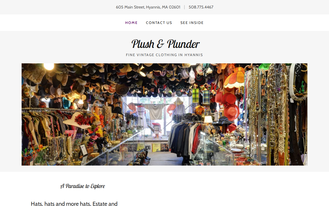 Plush & Plunder website preview