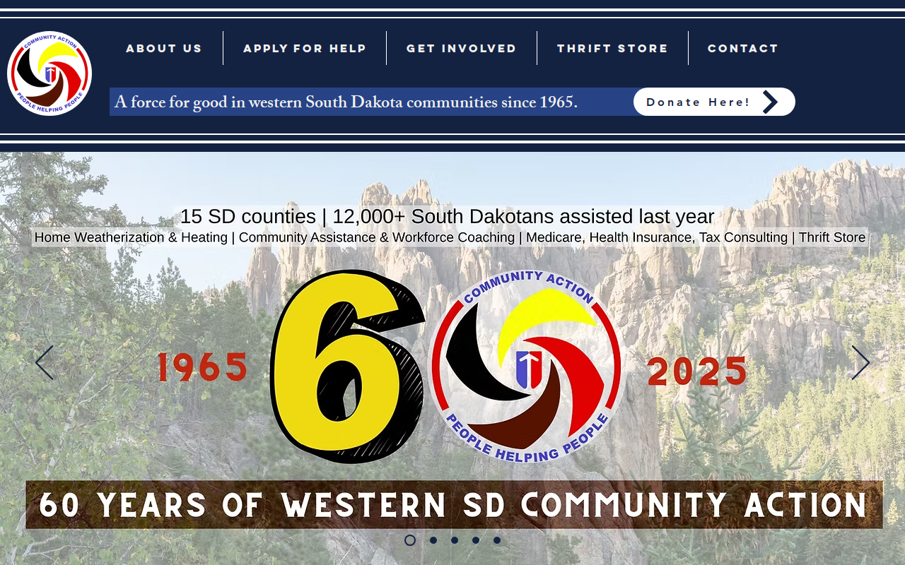 WSDCA website preview