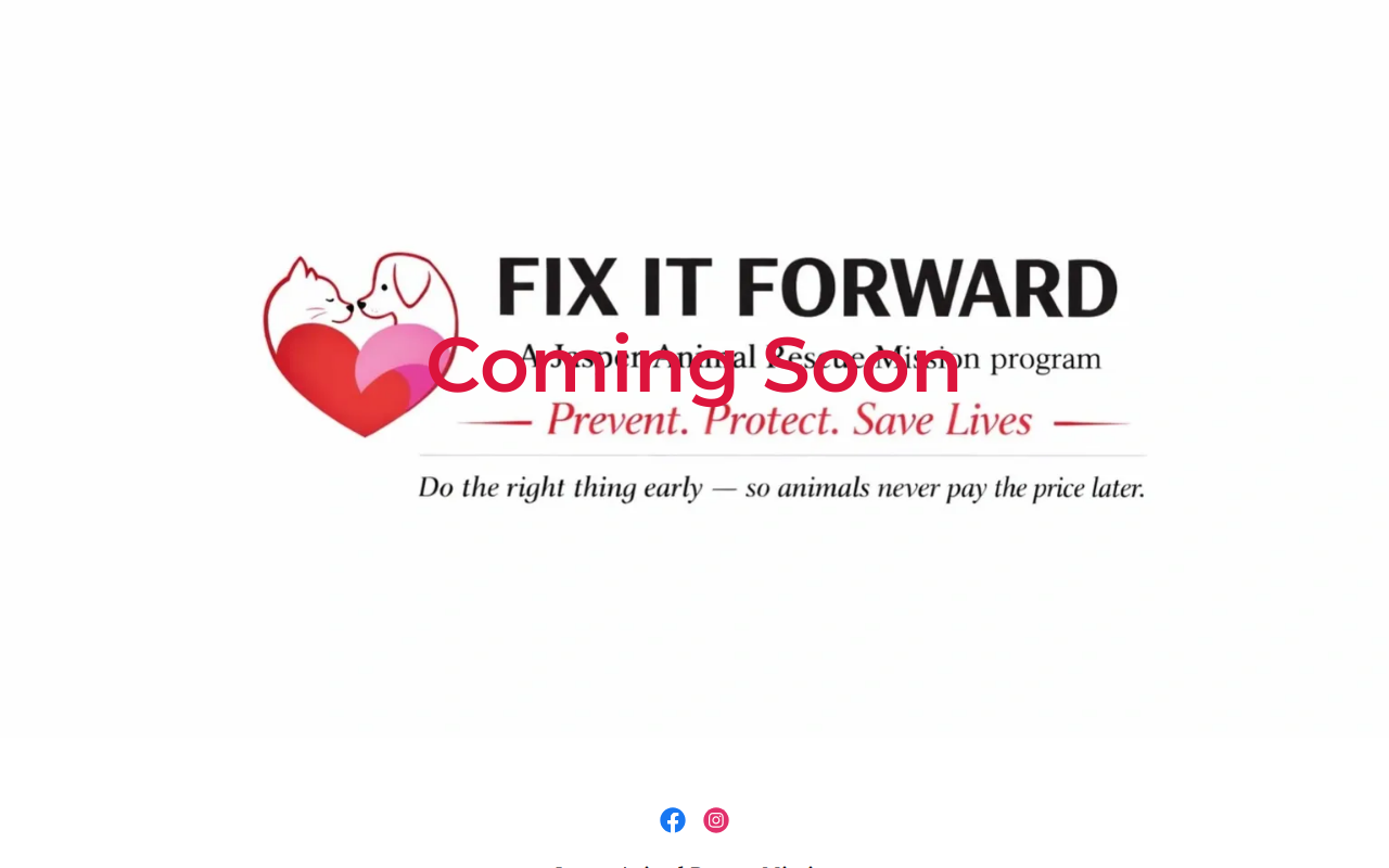 Jasper Animal Rescue Mission website preview