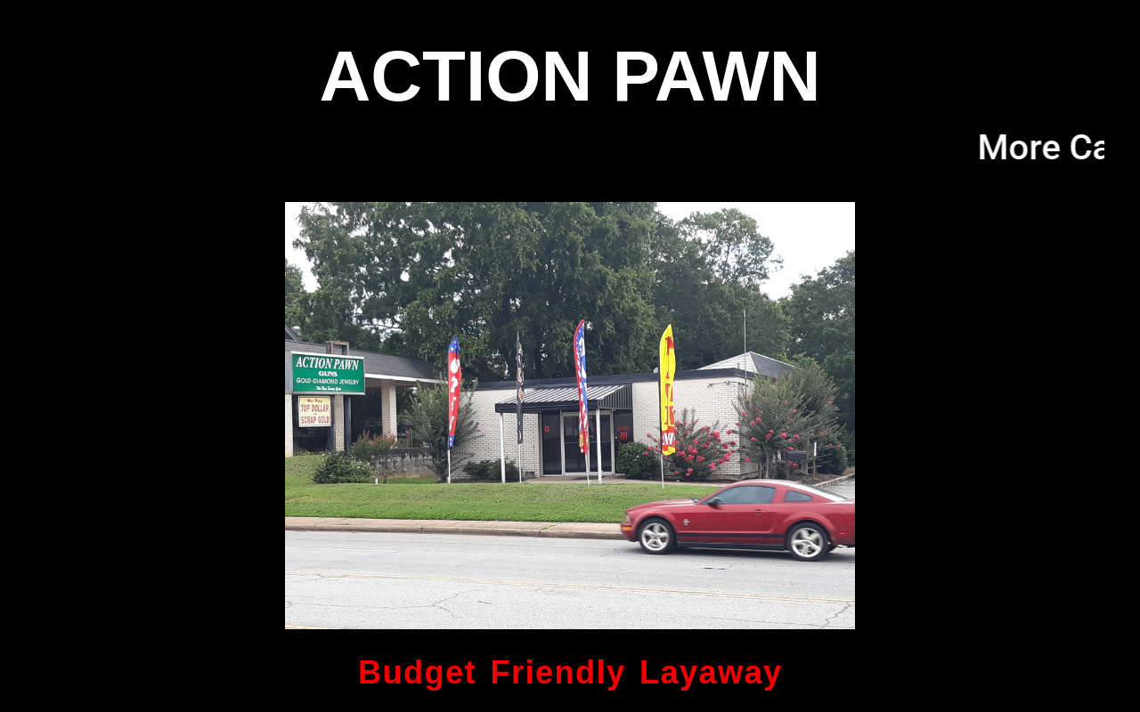 Action Pawn website preview
