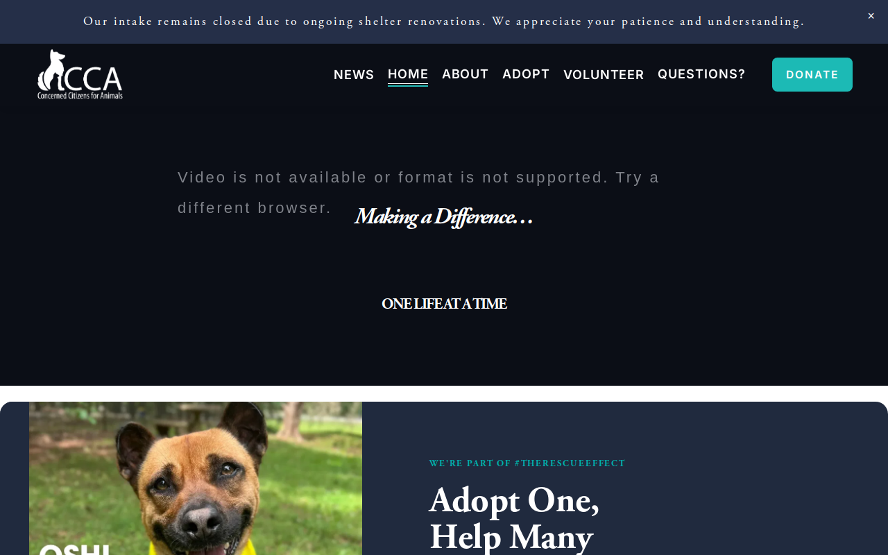 Second Chances Thrift Shop website preview