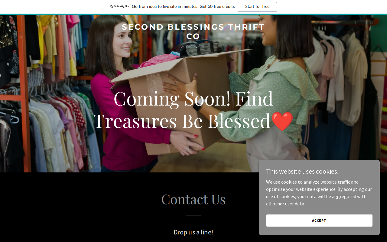 Second Blessings Thrift Co website preview