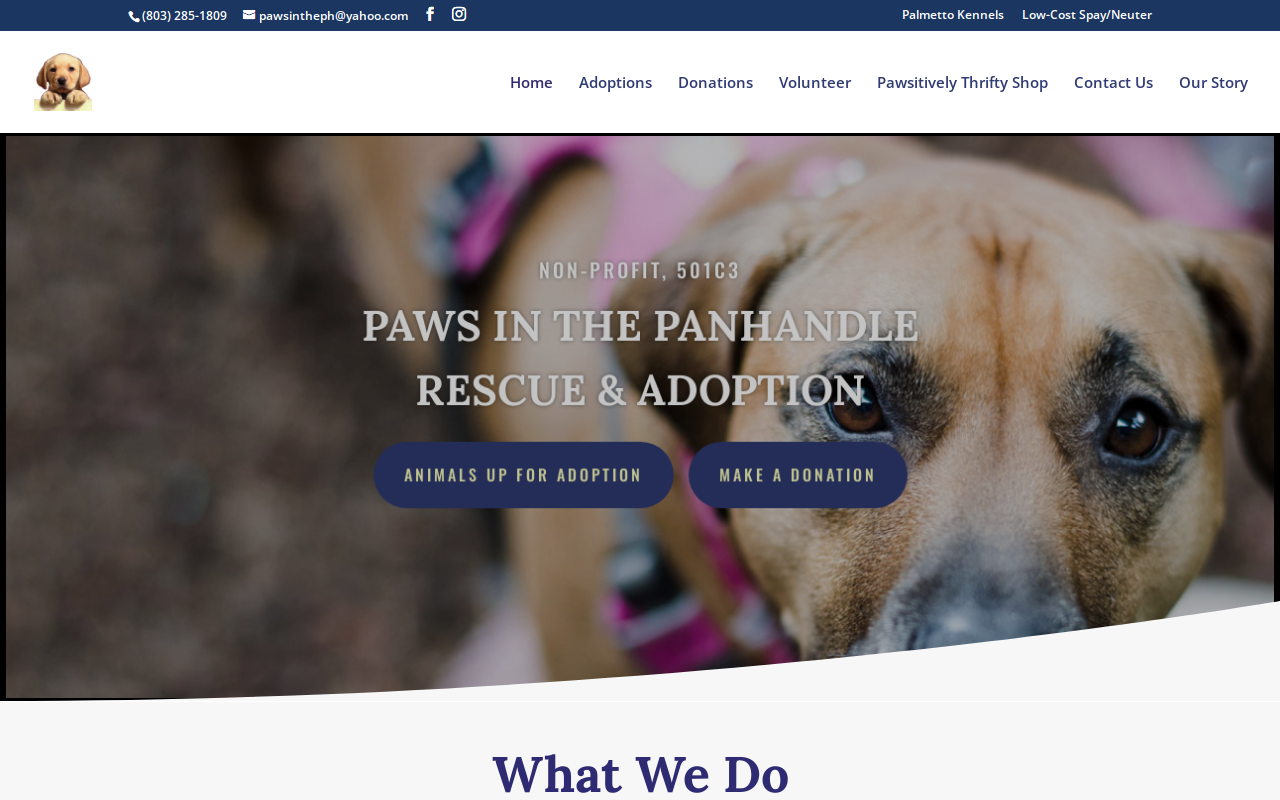 Pawsitively Thrifty website preview