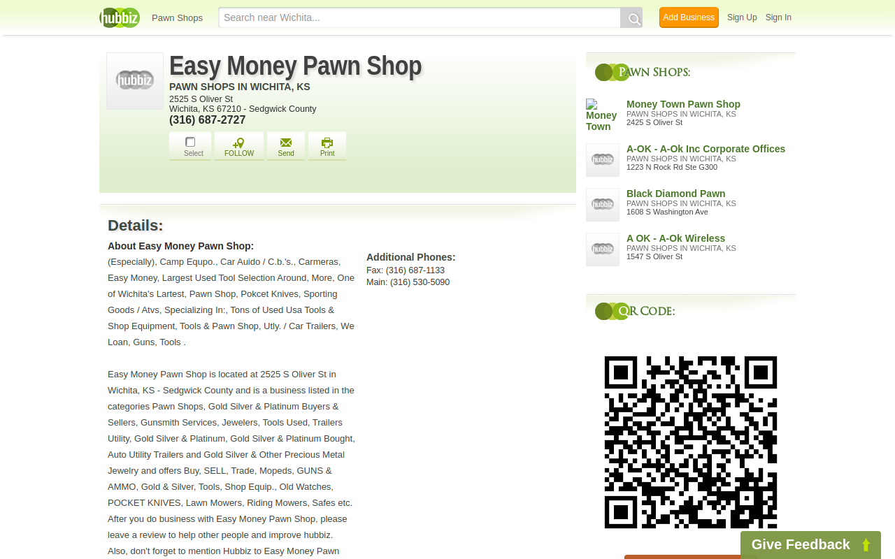 Easy Money Pawn Shop website preview