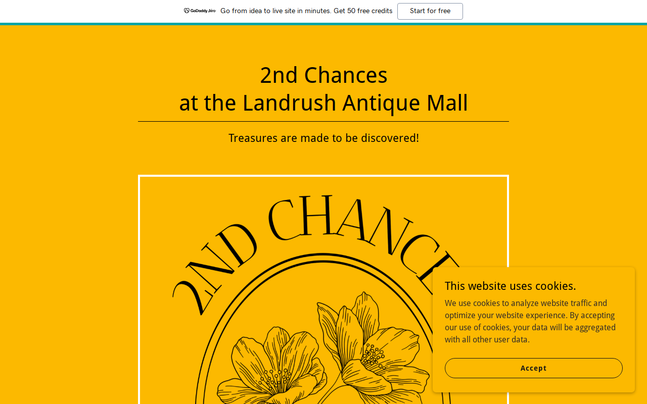 2nd Chance at The Landrush website preview