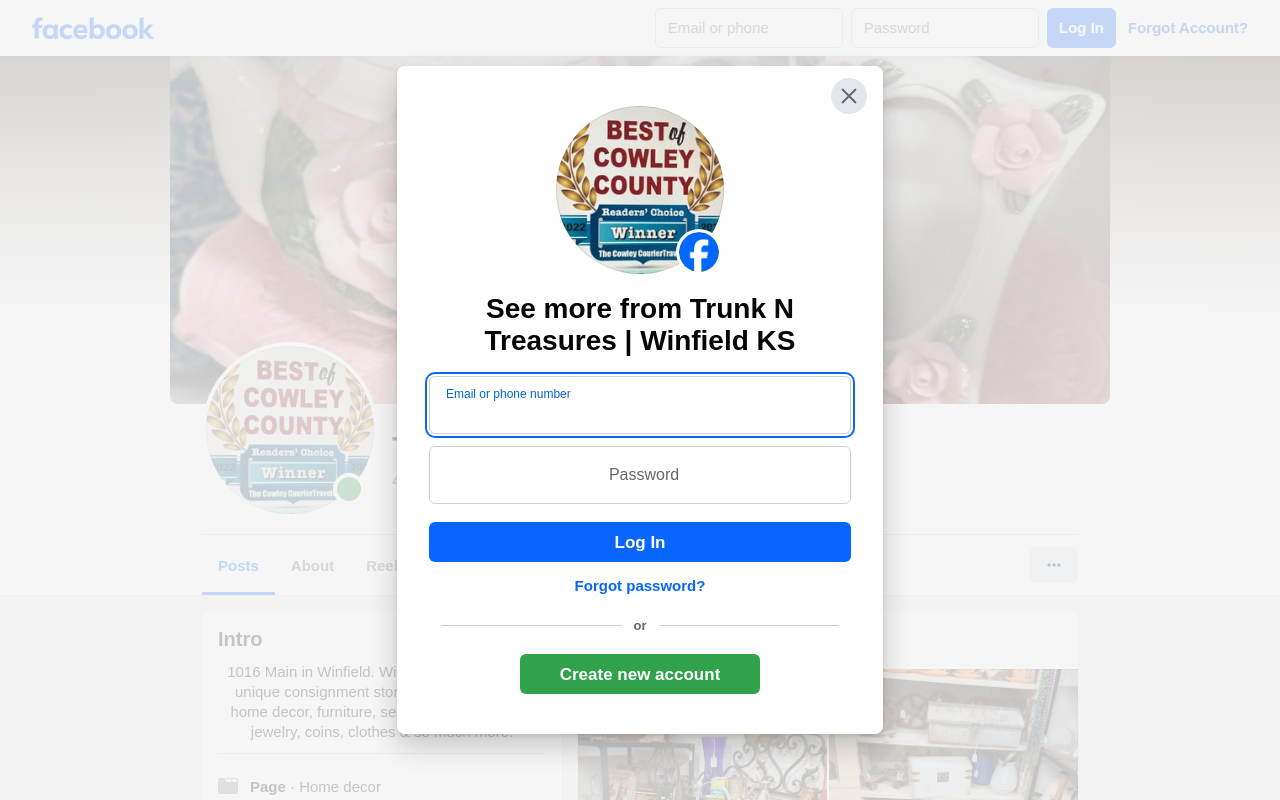 Trunk N Treasures website preview