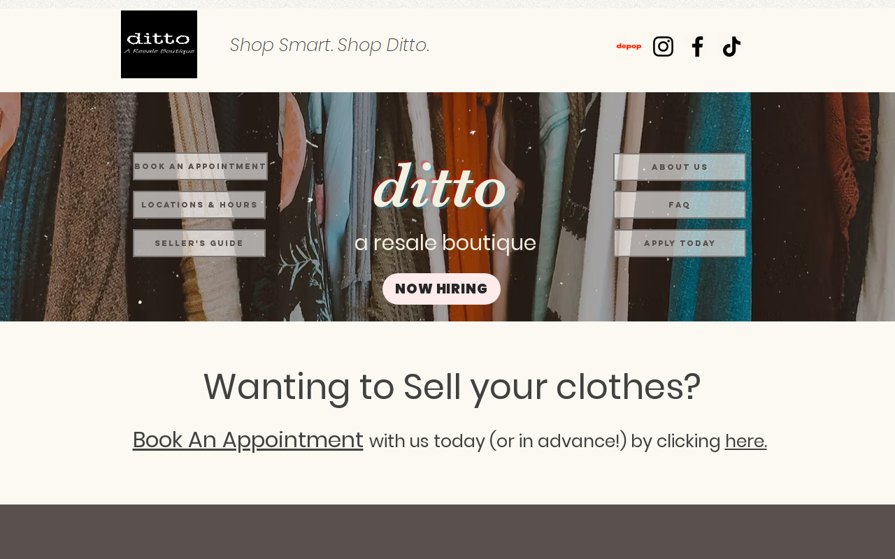 Ditto website preview