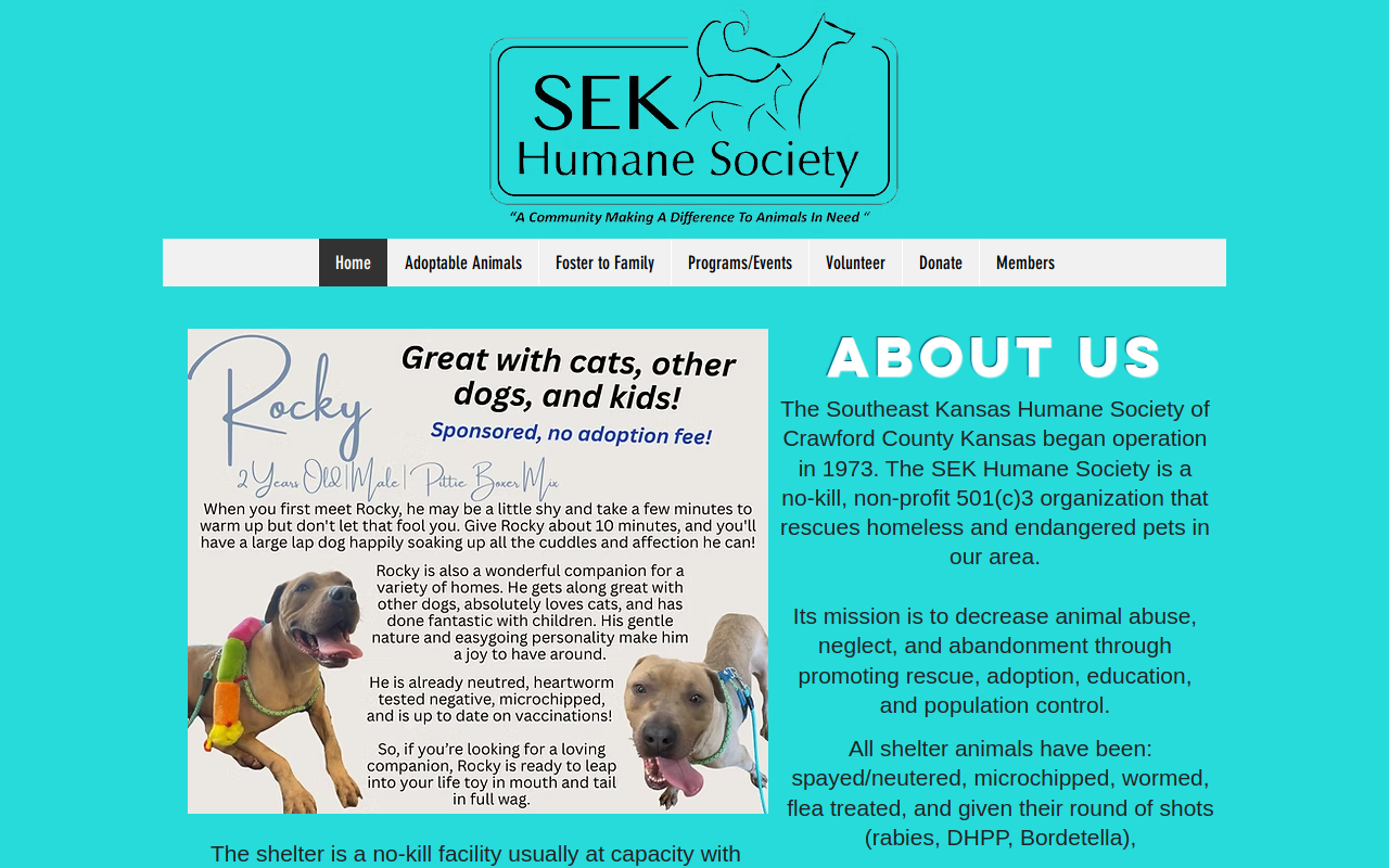 The Doggie Bag website preview