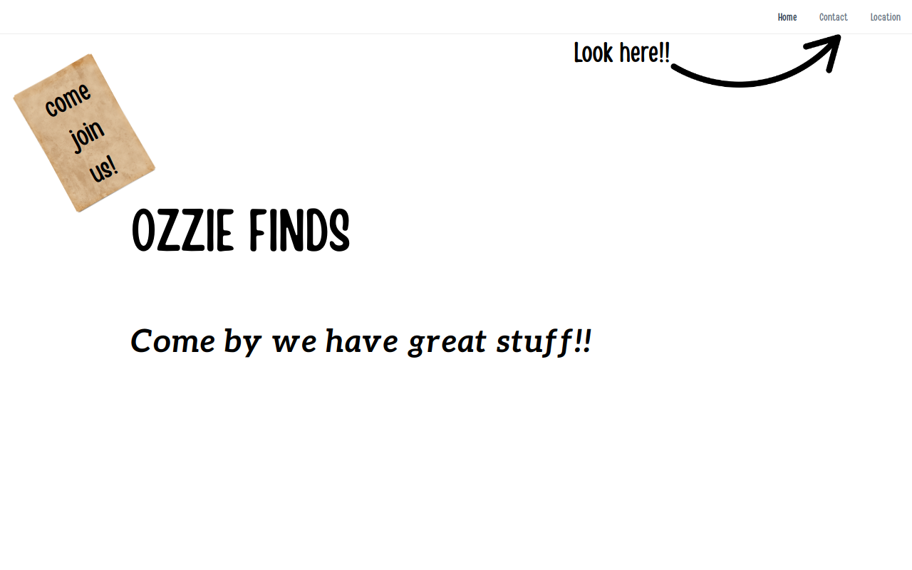 Ozzie Finds website preview