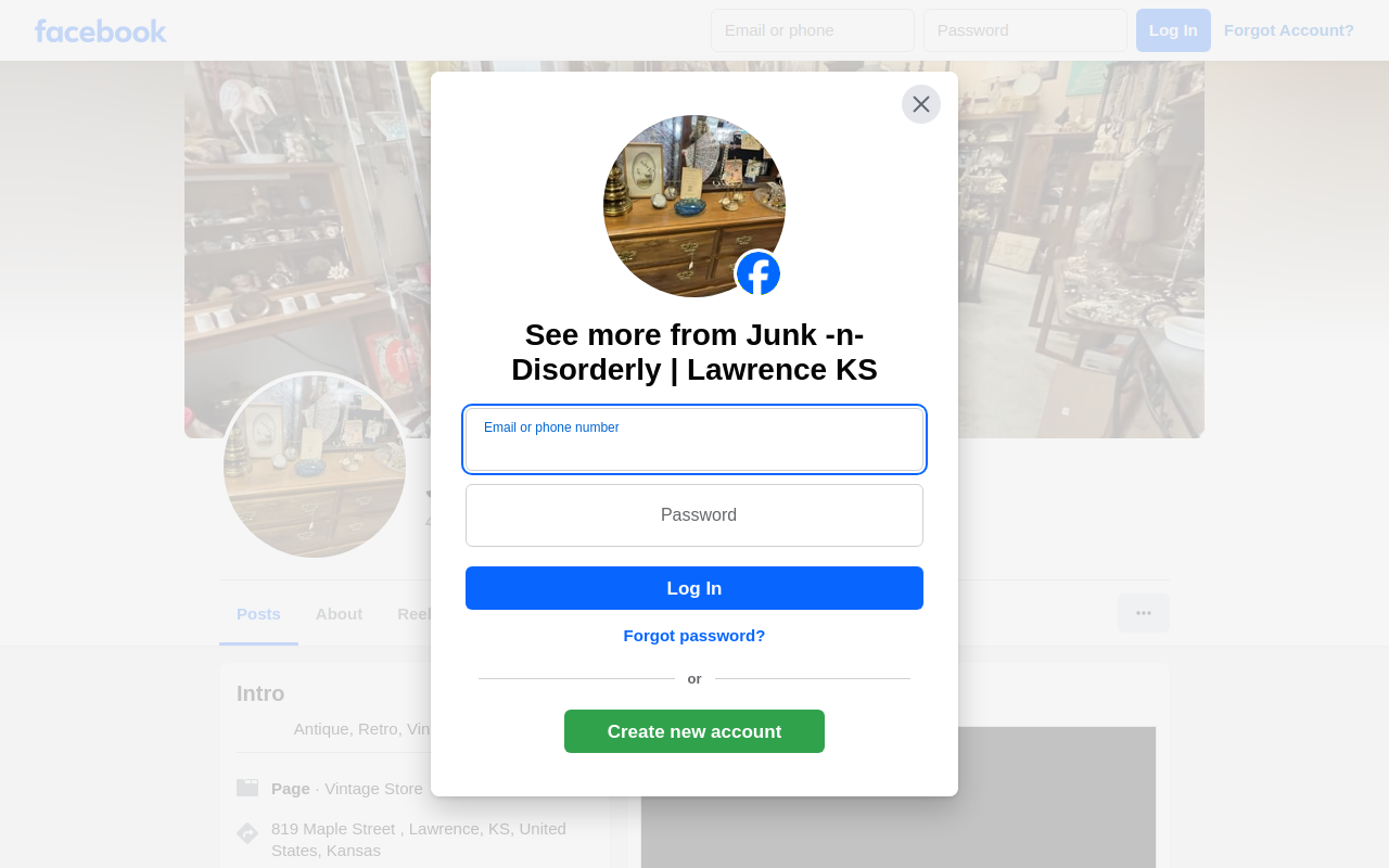 Junk -n- Disorderly website preview