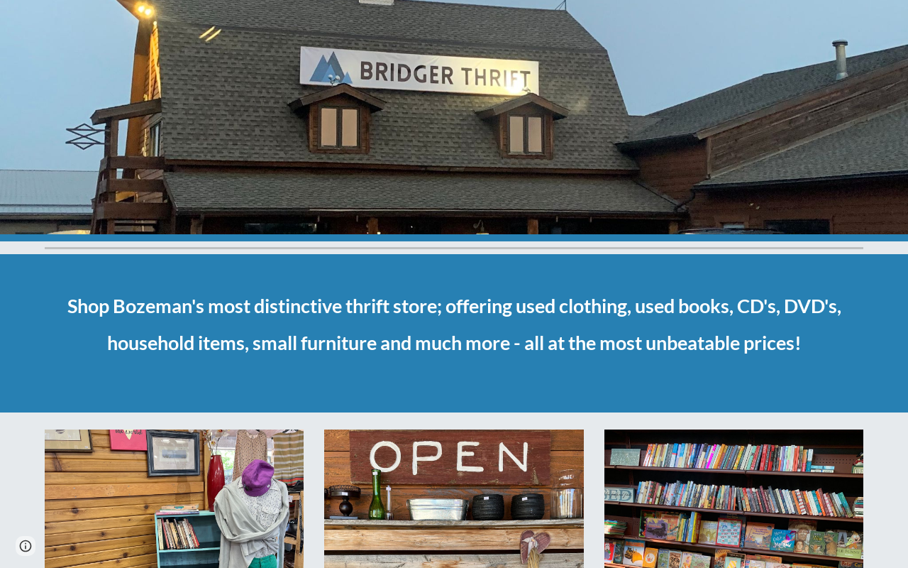 Bridger Thrift website preview
