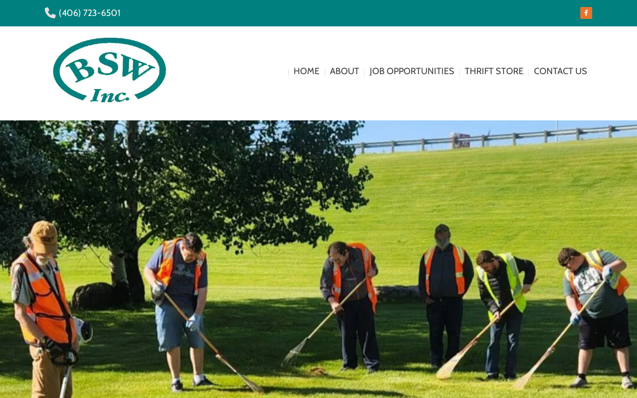Bsw Thrift Store website preview