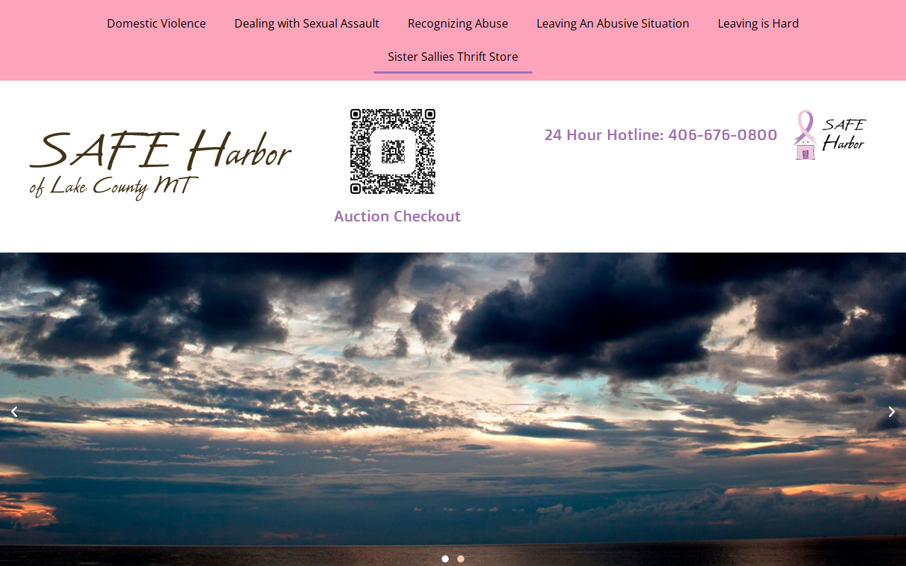 Sister Sallies Thrift Store website preview