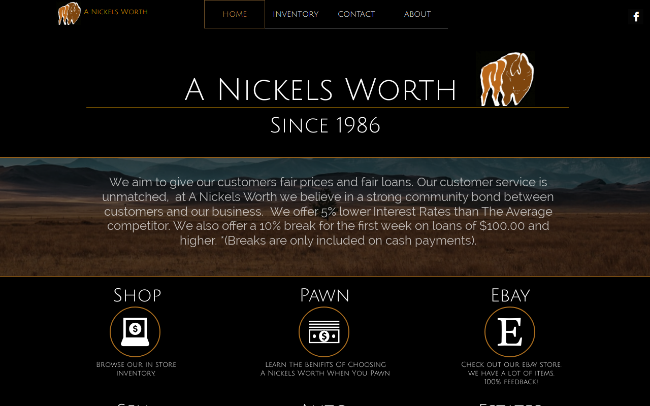 A Nickels Worth website preview