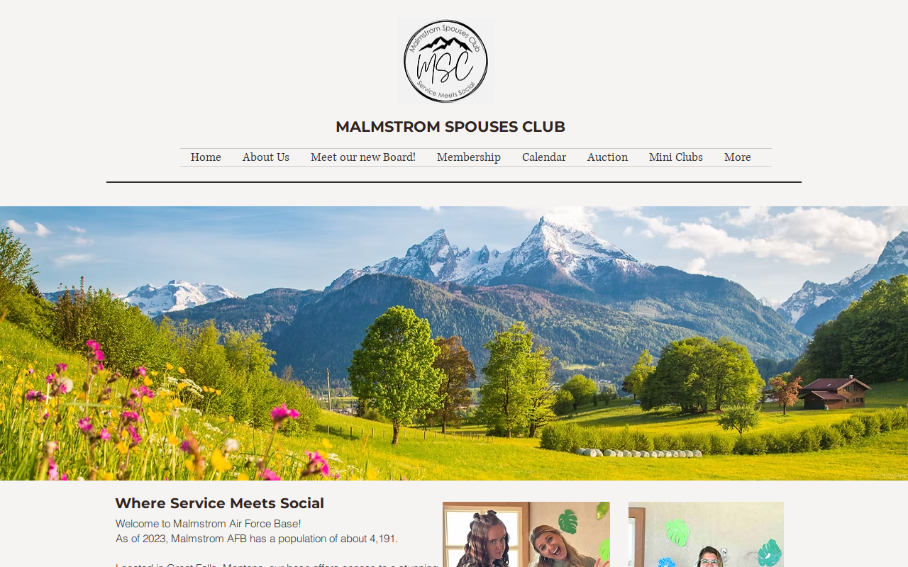 Malmstrom AFB MSC Thrift Store website preview