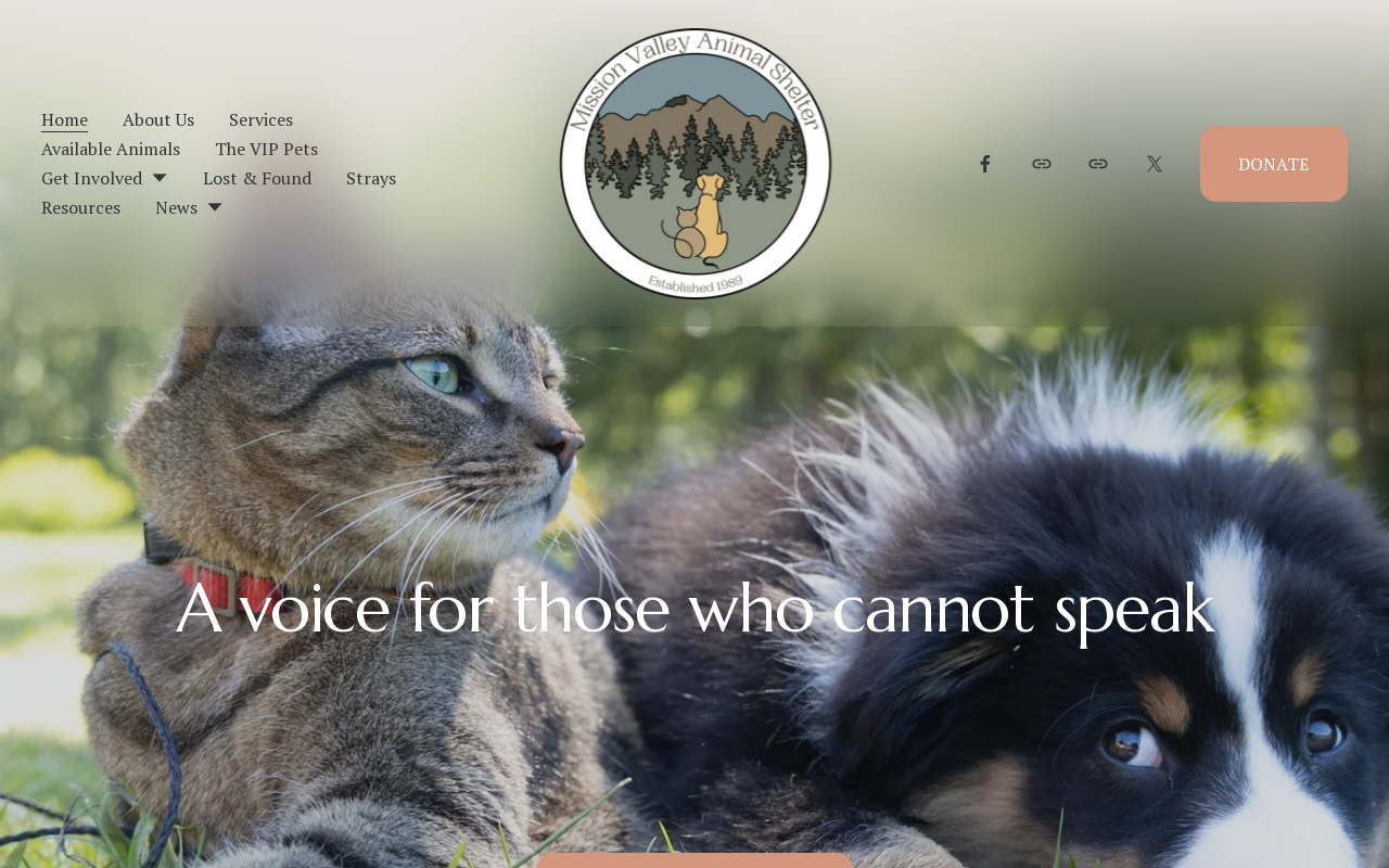 Seconds 2 Go website preview