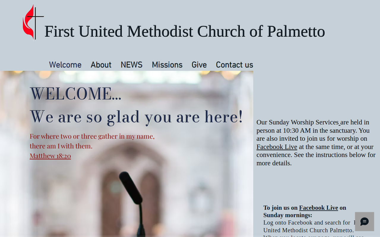 Palmetto Village Thrift website preview