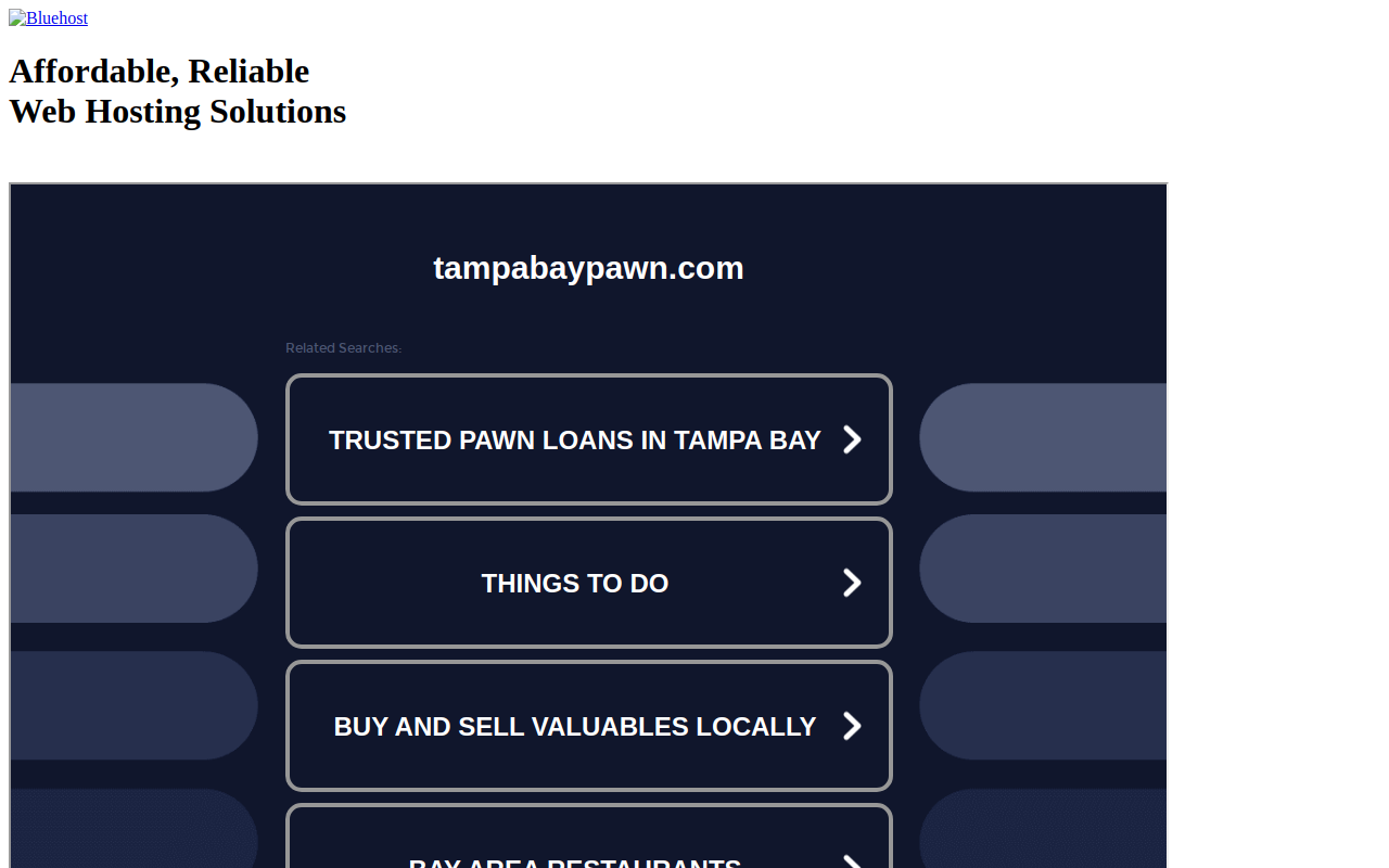 Tampa Bay Pawn website preview
