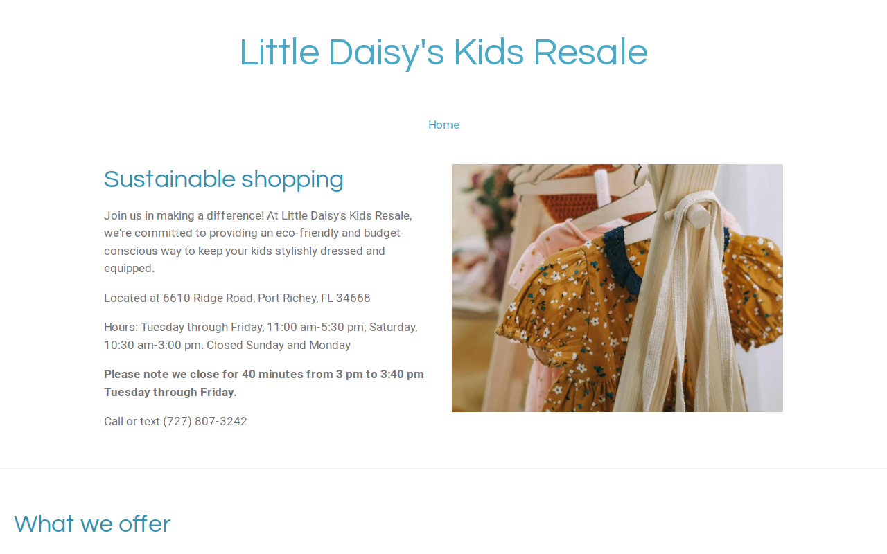 Little Daisy's Kids Resale website preview
