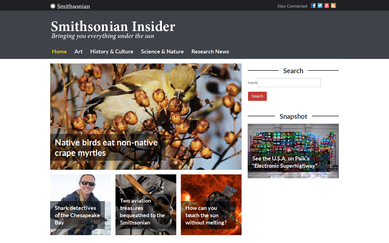 Insiders Inc website preview