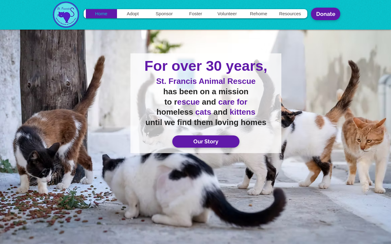 St. Francis Animal Rescue Thrift Store website preview