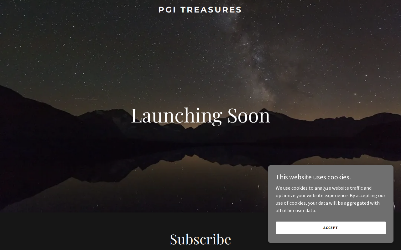 The Treasure Chest website preview