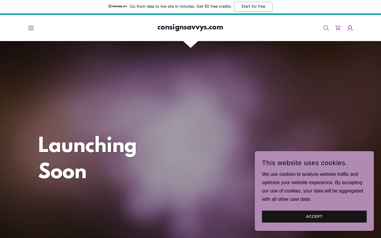 Savvy Consignment Boutique website preview
