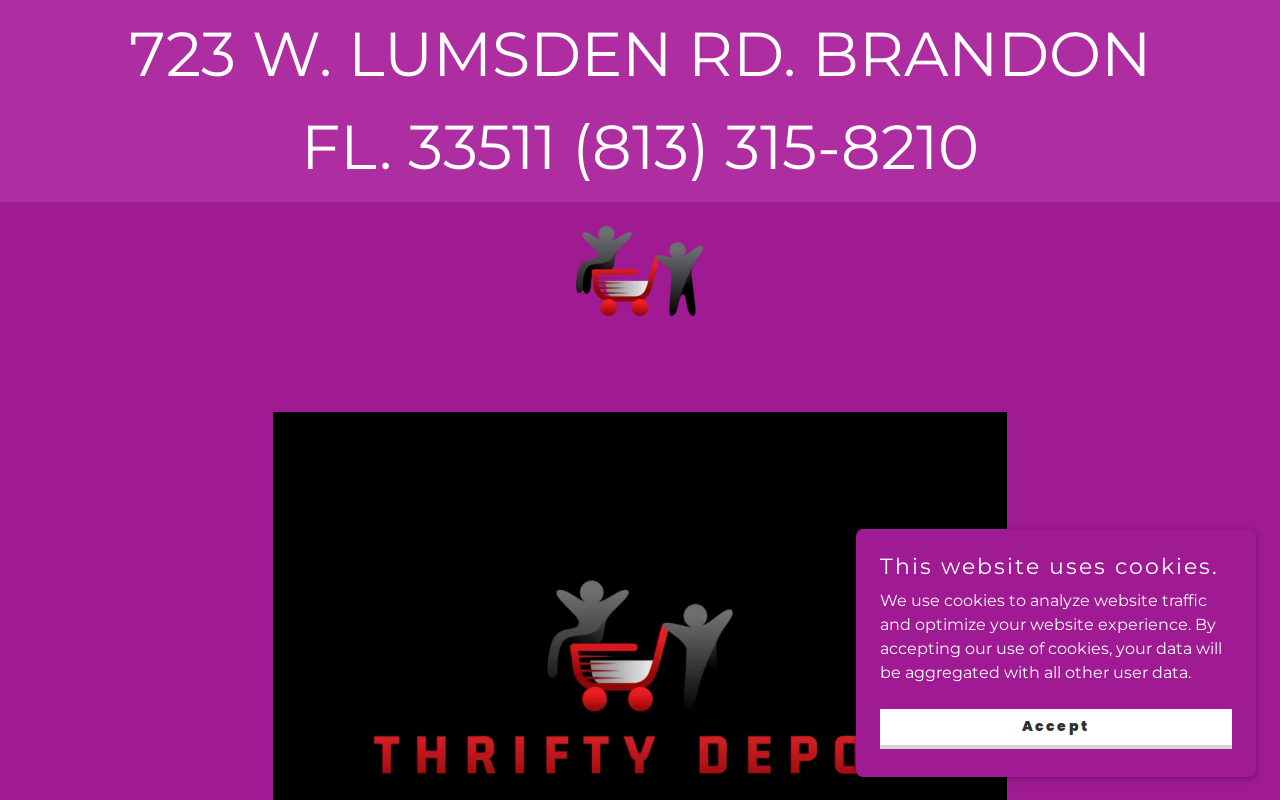 Thrifty Depot website preview