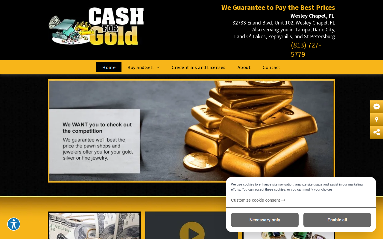 Pasco Plaza website preview