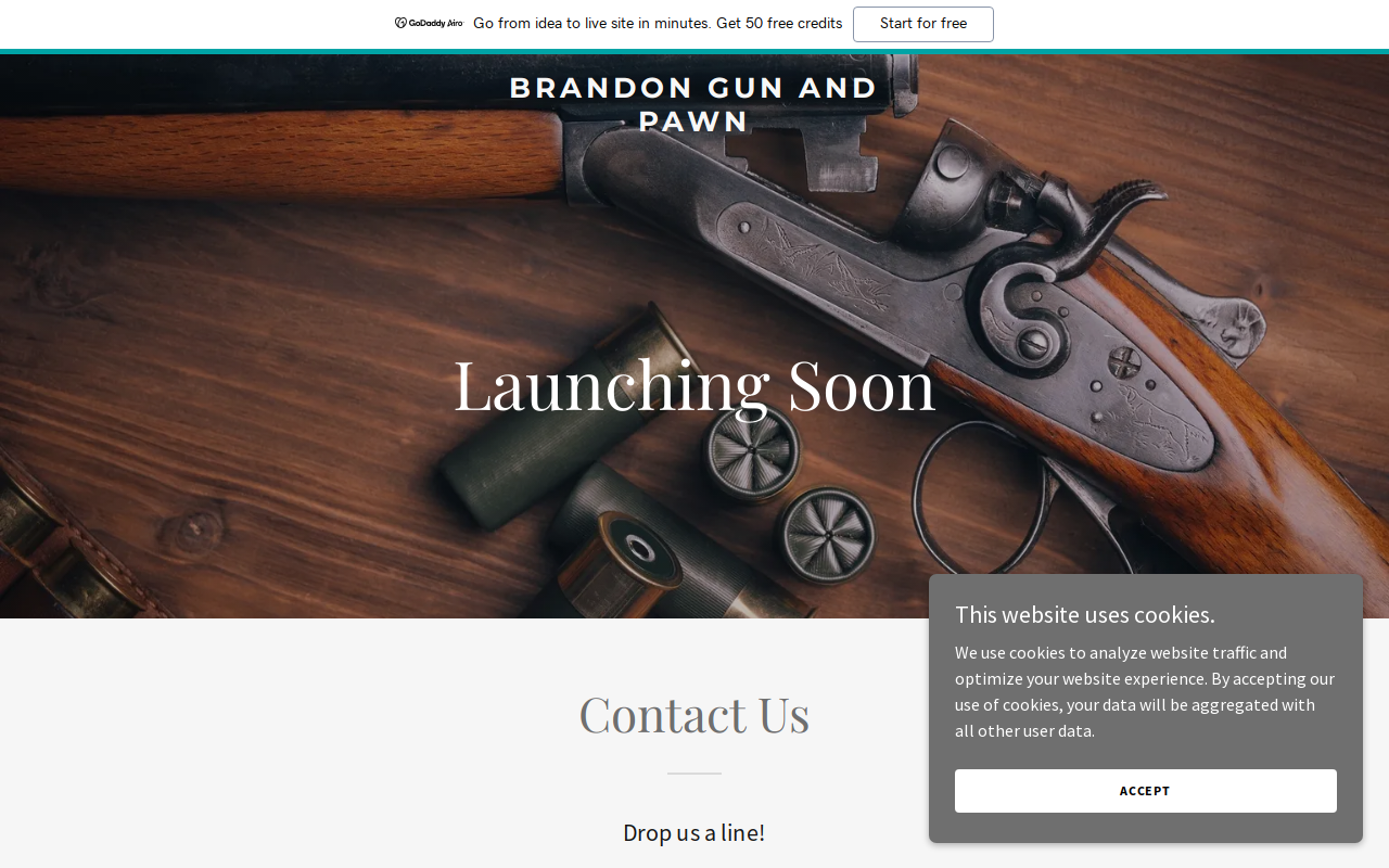 Brandon Pawn and Gun website preview