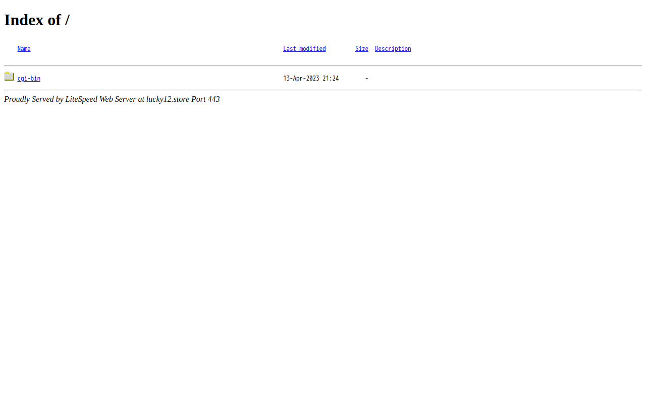 Lucky 12 website preview