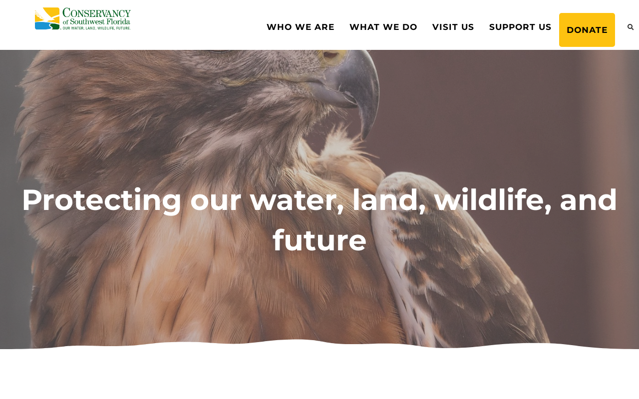 The Conservancy of SW Fla Upscale Resale Shoppe website preview