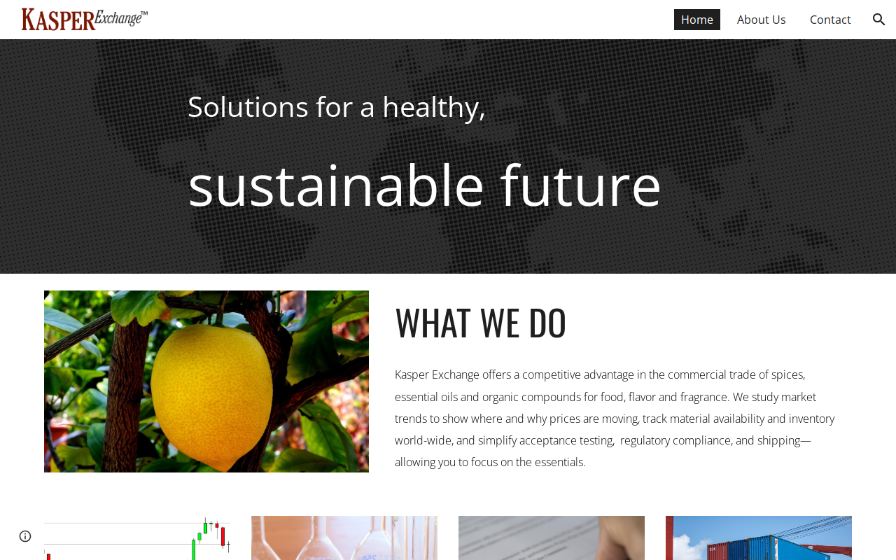 Kasper Exchange LLC website preview